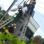 corporate art anhinga bird sculpture first green bank florida